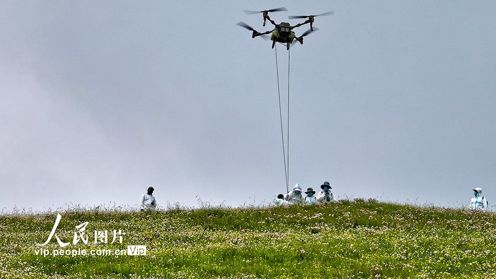 甘肃肃南：推进“三北”工程建设 筑牢生态安全屏障【3】