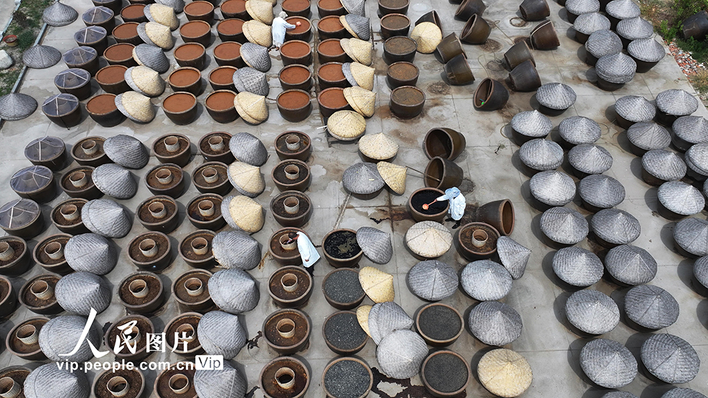 江苏灌云：夏日晒酱【3】