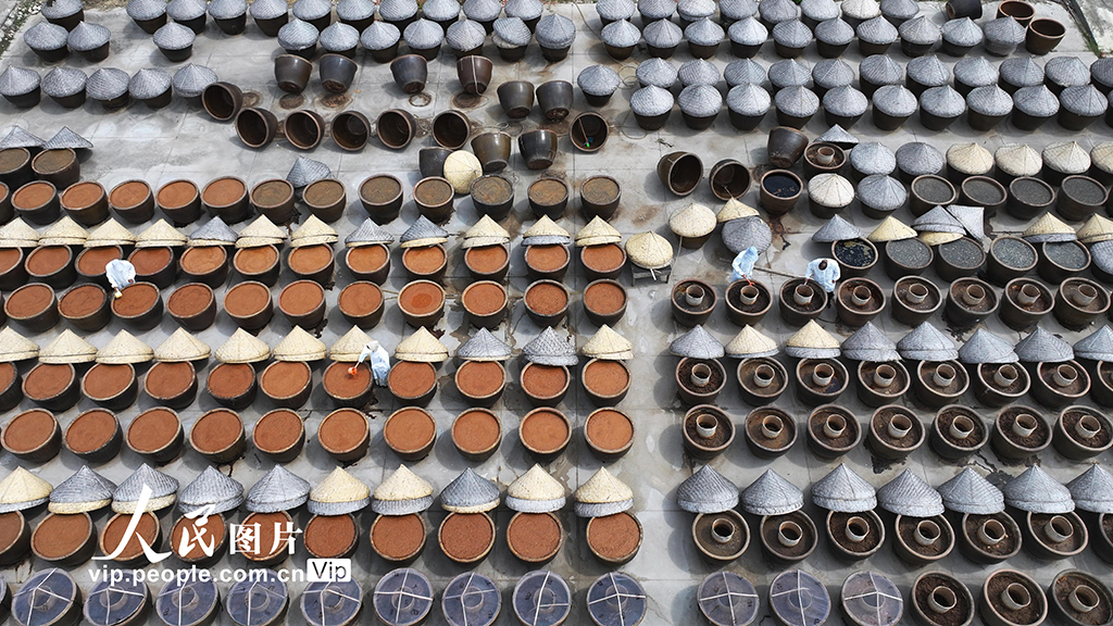 江苏灌云：夏日晒酱【5】