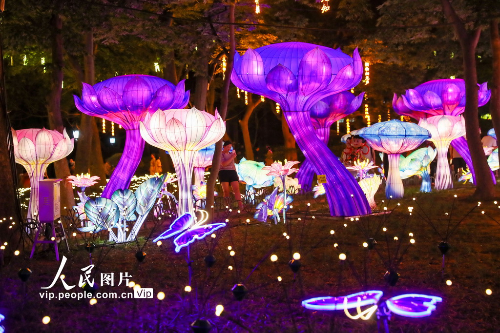 2025年“青岛之夏”艺术灯会流光溢彩【5】