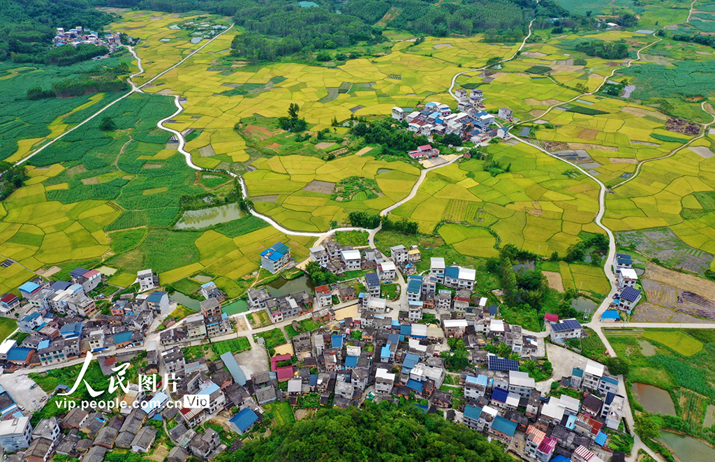 广西融水：“丰”景如画【2】