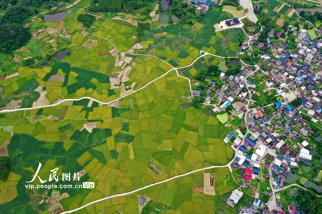 广西融水：“丰”景如画【3】