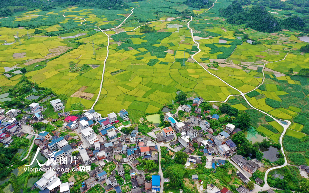 广西融水：“丰”景如画【4】