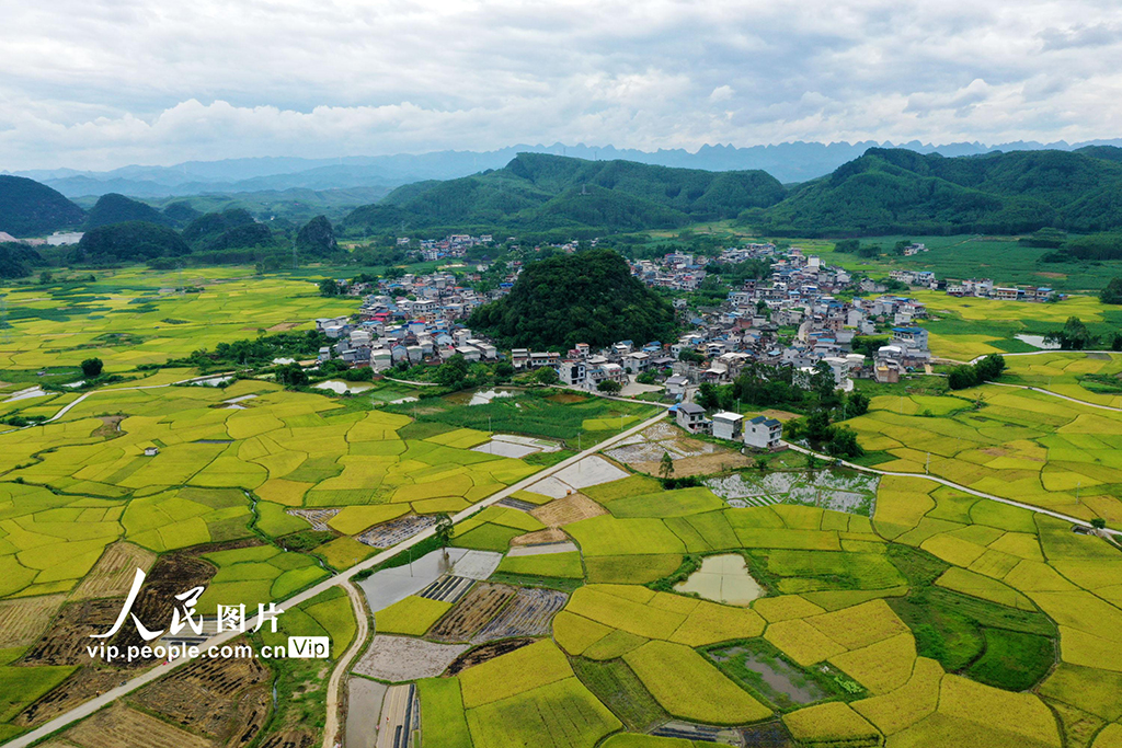 广西融水：“丰”景如画【5】