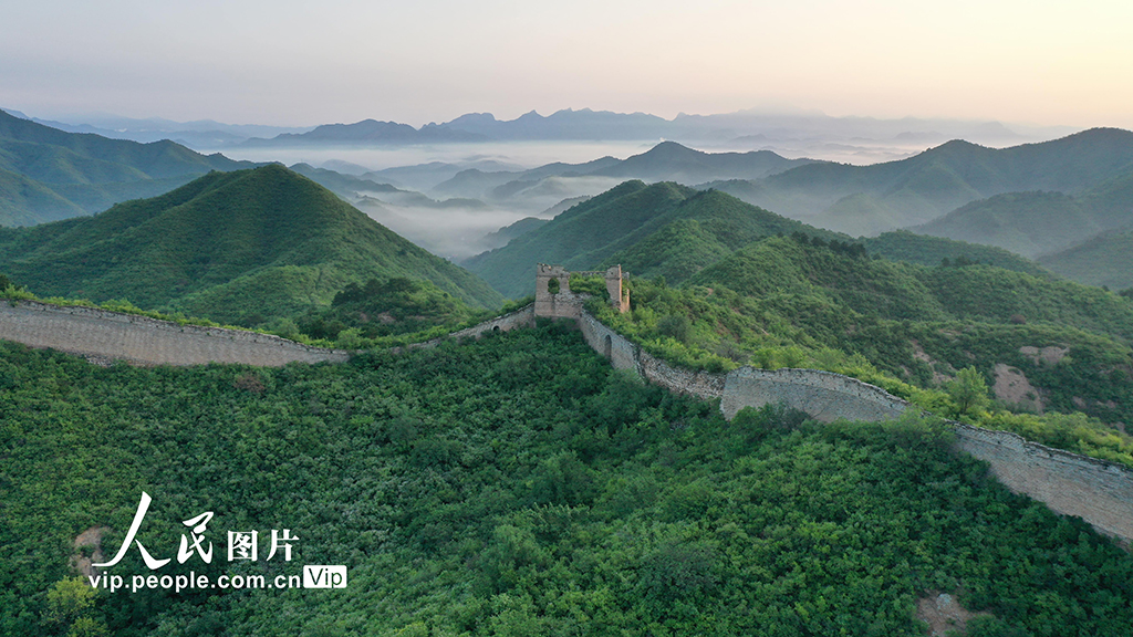北京密云：蟠龙山长城晨雾缥缈景美如画【4】