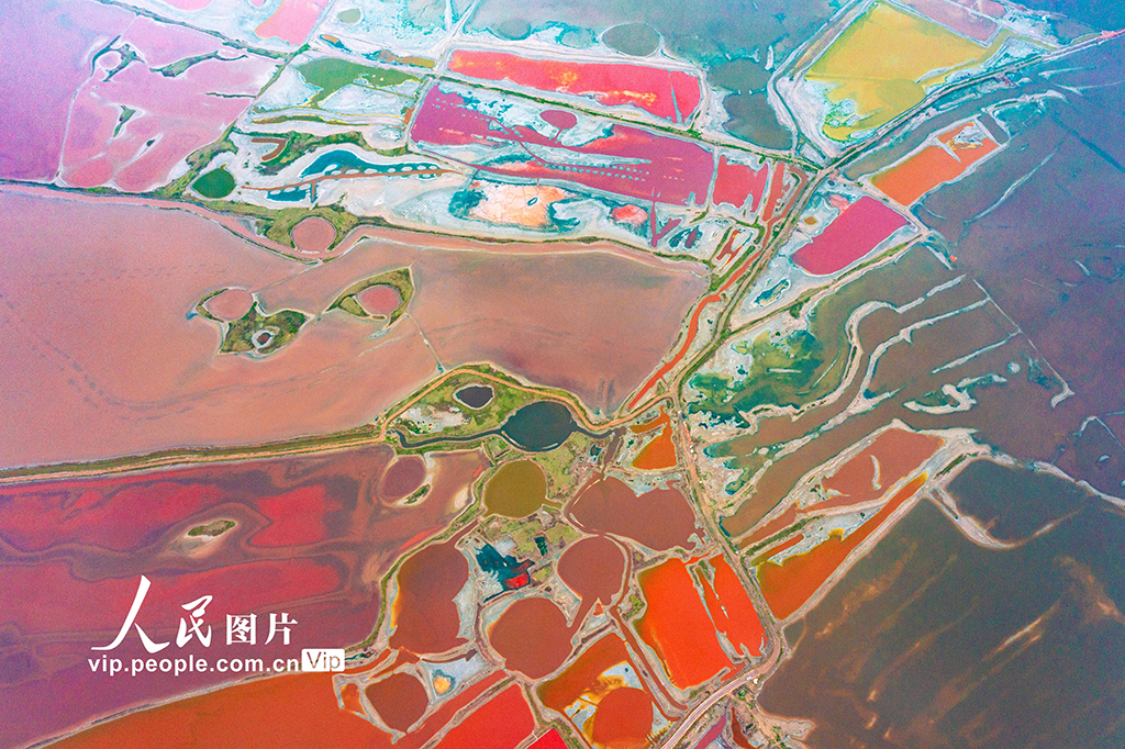 山西运城:夏日盐湖色彩斑斓【2】