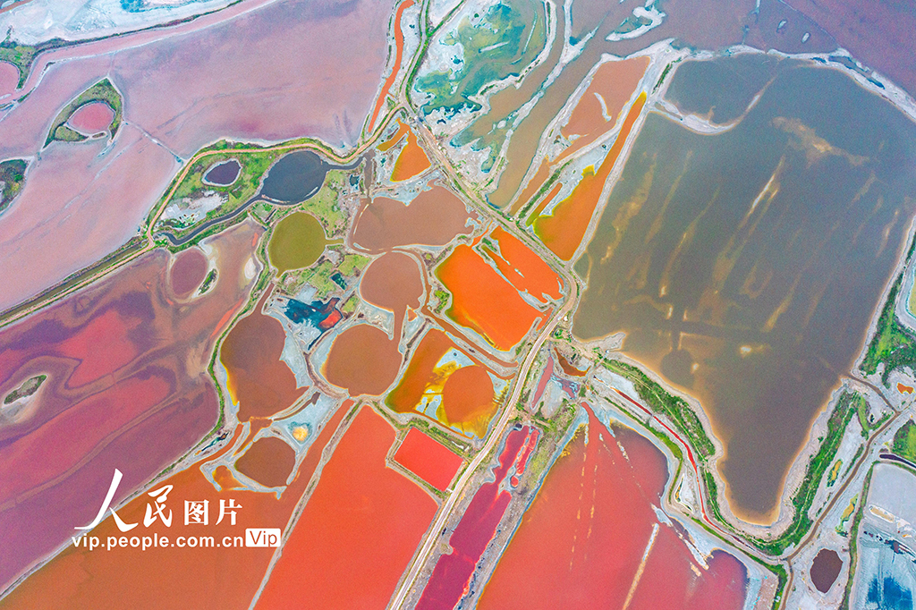 山西运城:夏日盐湖色彩斑斓【3】