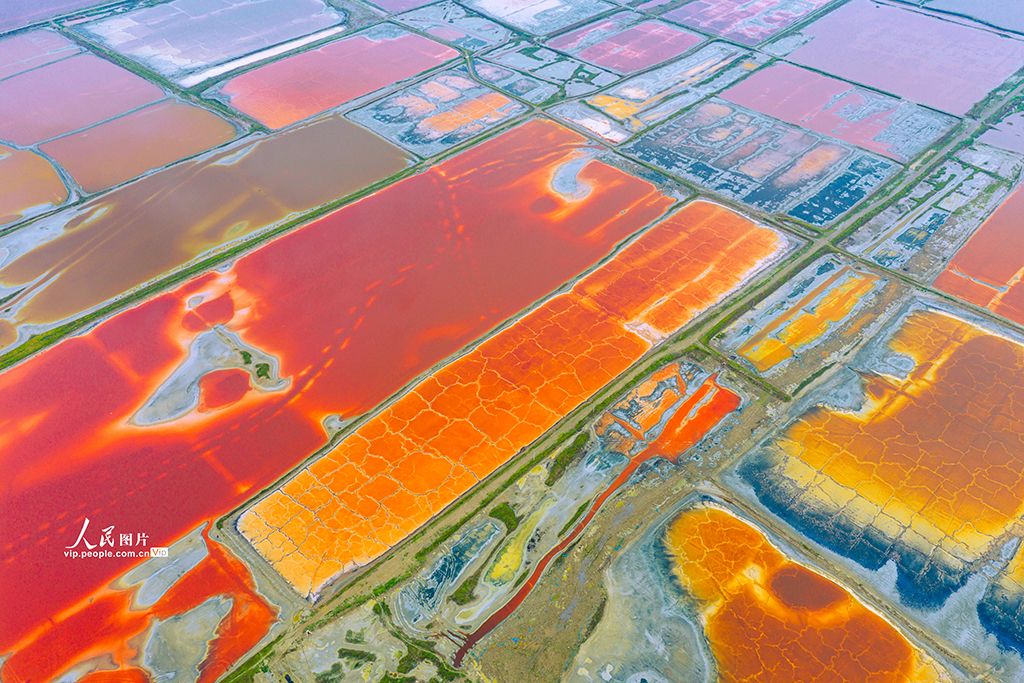 山西运城:夏日盐湖色彩斑斓【4】