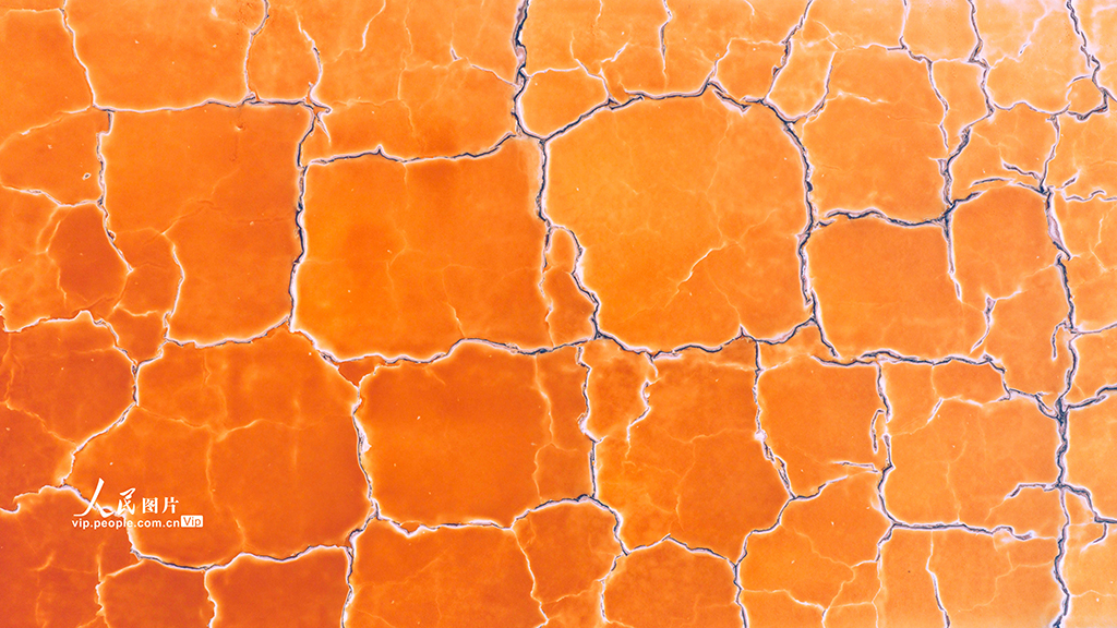 山西运城:夏日盐湖色彩斑斓【5】