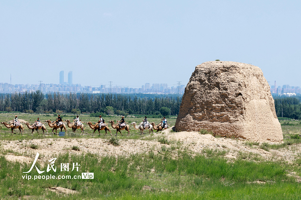 宁夏银川：西夏陵景区【4】