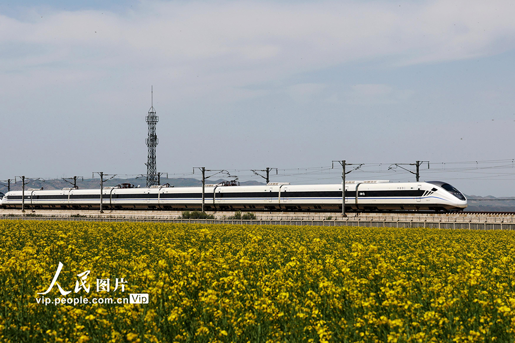 甘肃张掖：动车穿越油菜花海【3】