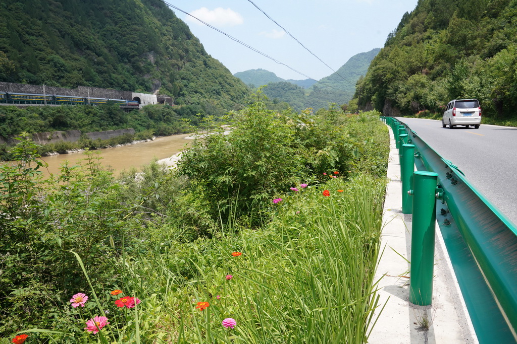 7月15日,火车和汽车分别行驶在嘉陵江两岸的宝成铁路和328省道上。新华社记者 马宁 摄
