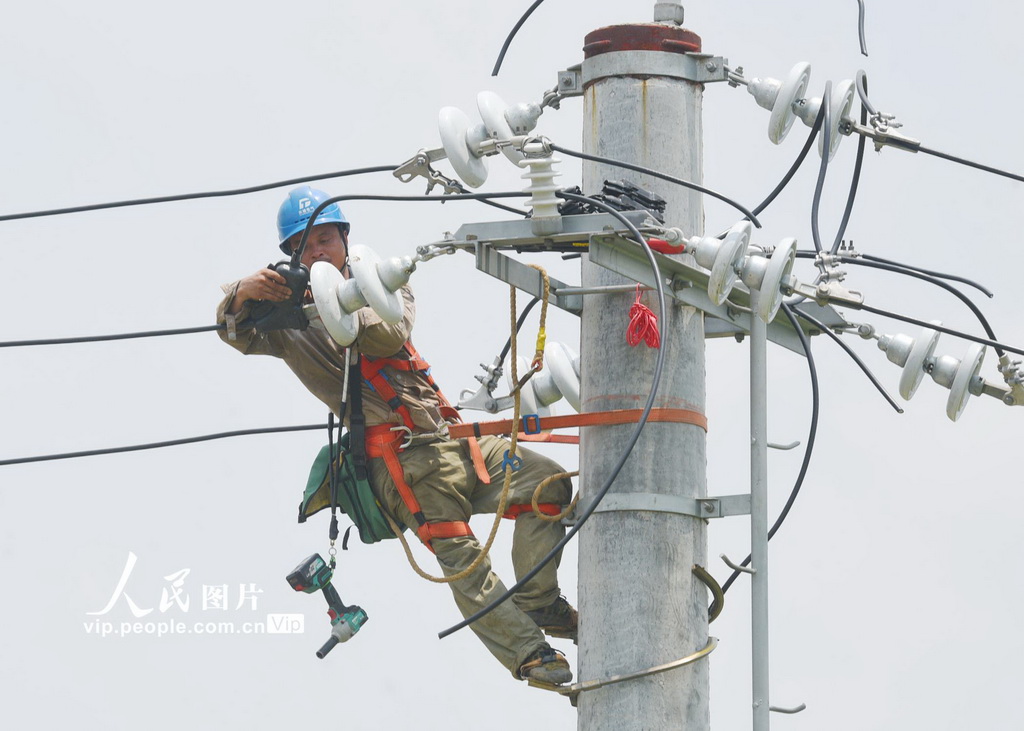 湖南嘉禾：战高温 保供电【3】