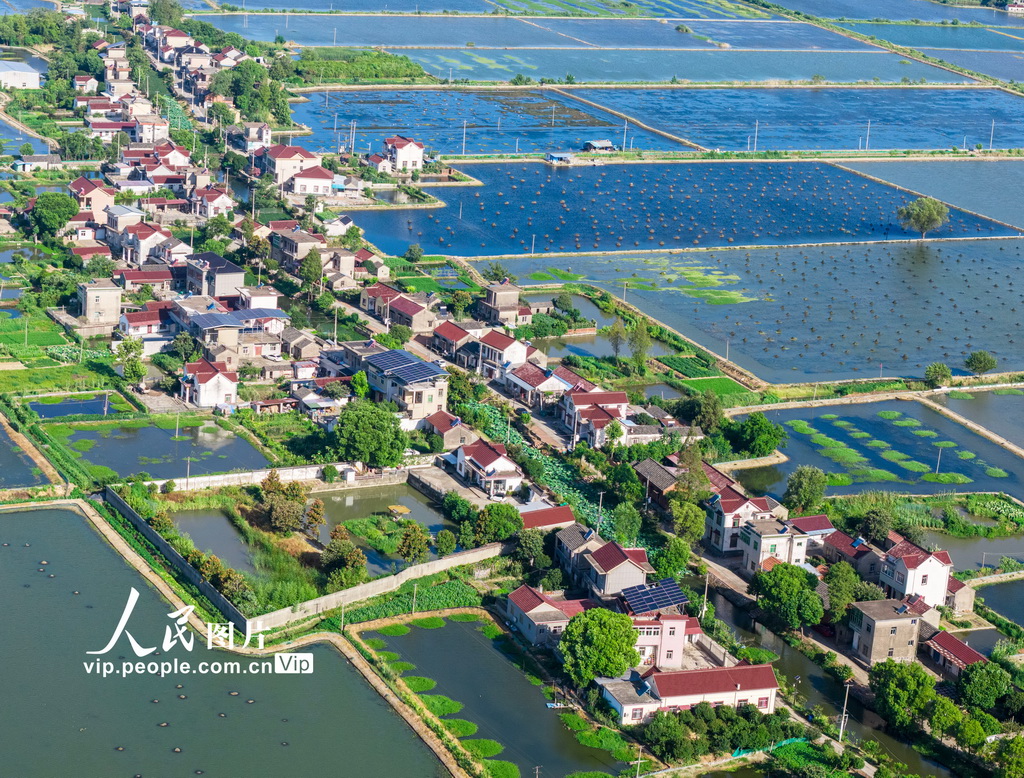 安徽当涂：绘就江南水乡生态新画卷【3】