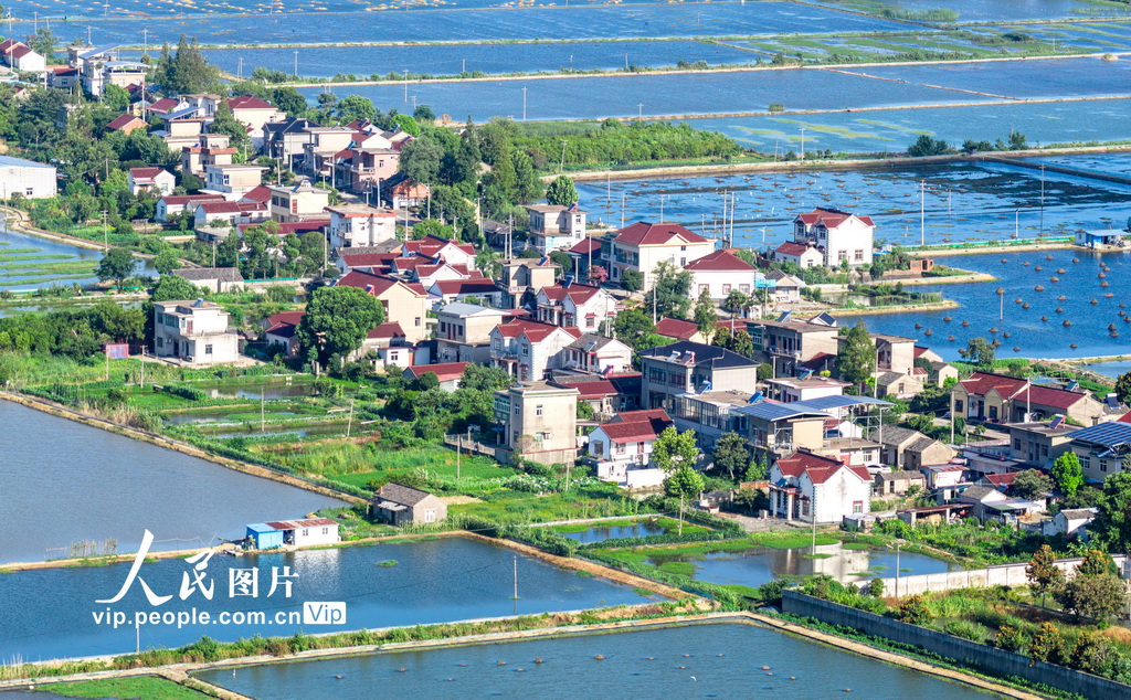 安徽当涂：绘就江南水乡生态新画卷【4】