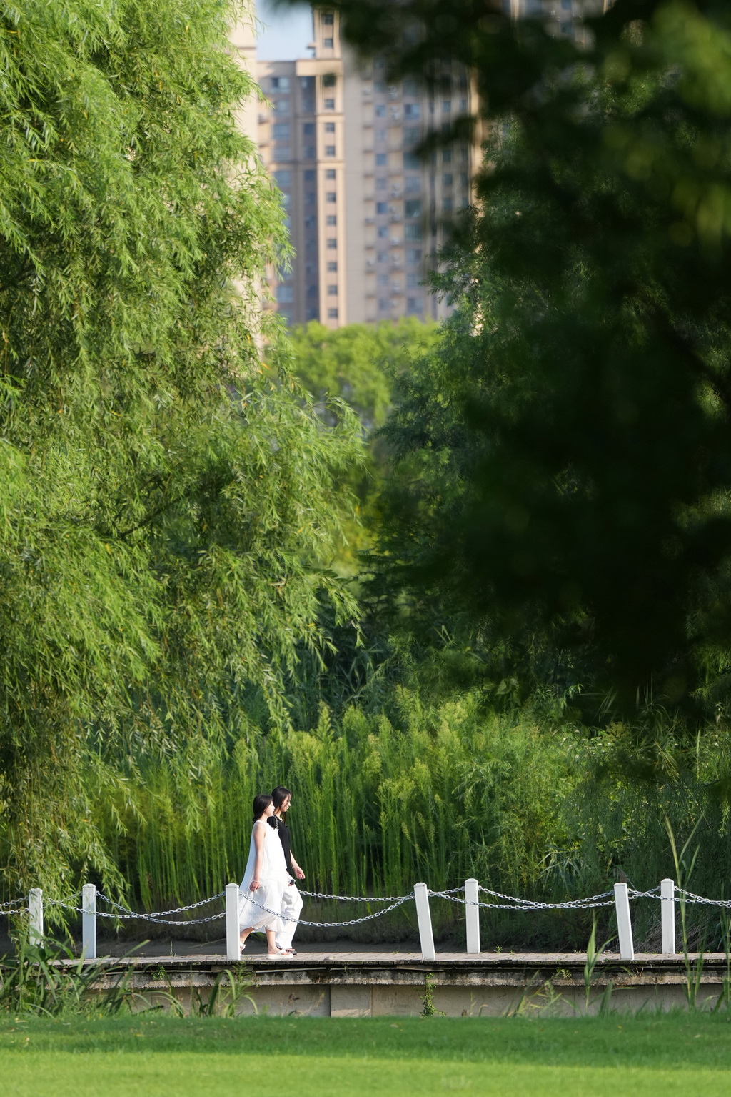 7月21日，市民在汉中市天汉湿地公园内休闲。