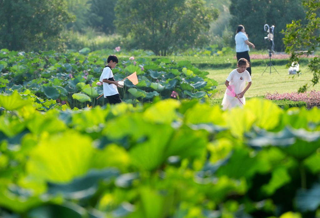 7月21日，儿童在汉中市天汉湿地公园内嬉戏。