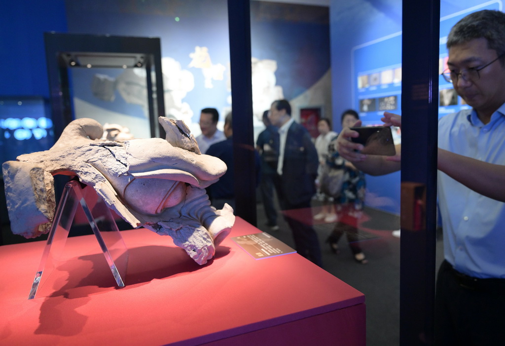 7月28日，观众在欣赏拍摄出土于雄安古州城遗址的唐代龙首。