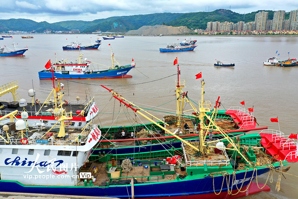 浙江玉环：渔民备捕迎开海【3】