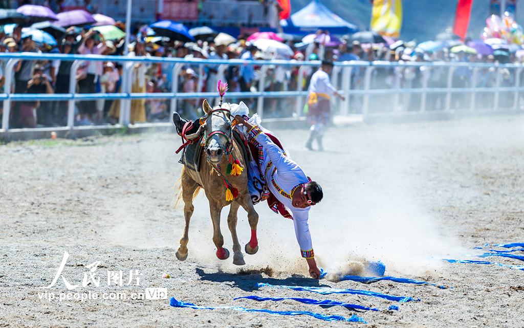 甘肃肃南：草原赛马精彩纷呈【5】