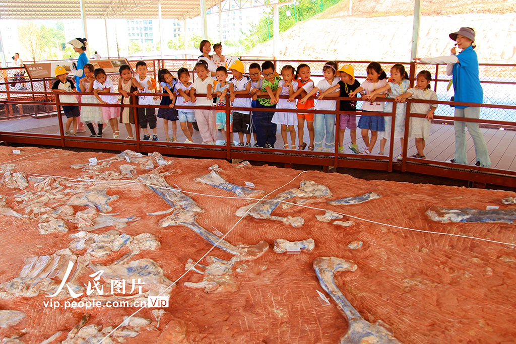 重庆：恐龙遗址公园迎来参观潮【3】