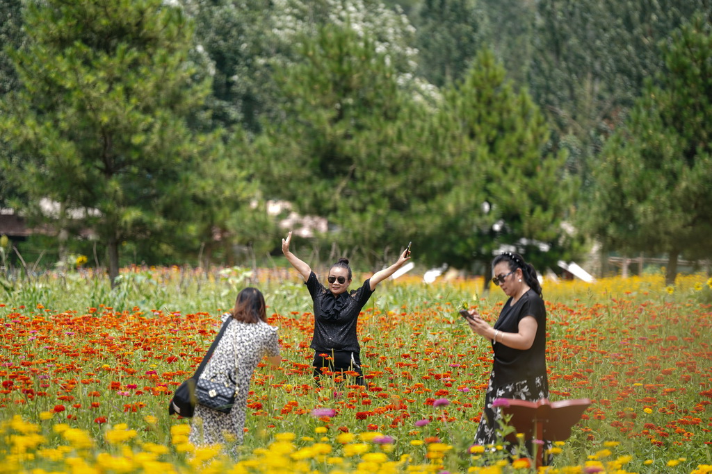 游客在南泥湾国家湿地公园内游玩（7月29日摄）。