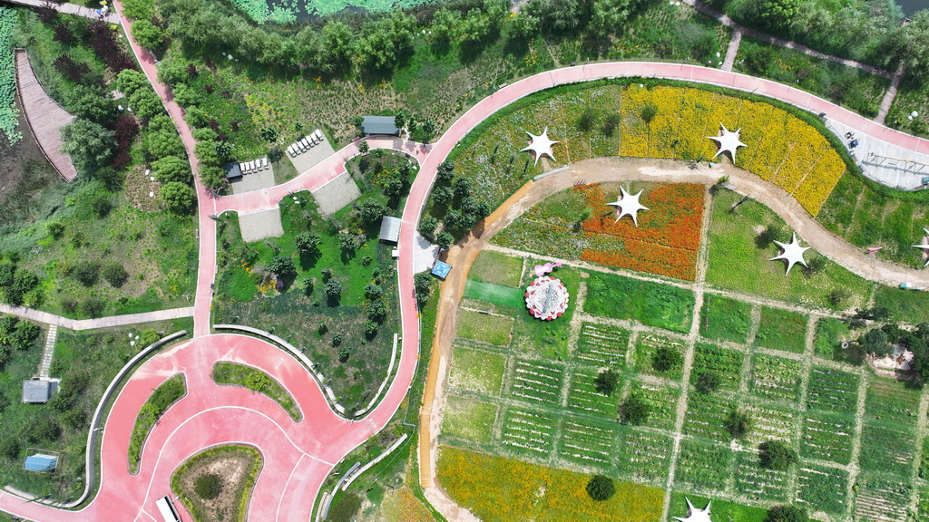 南泥湾国家湿地公园一隅（7月29日摄，无人机照片）。