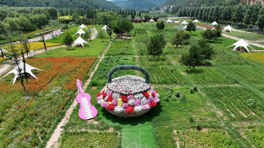 南泥湾国家湿地公园一隅（7月29日摄，无人机照片）。