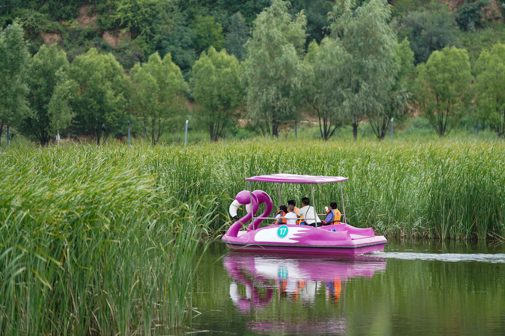 游客在南泥湾国家湿地公园内游玩（7月29日摄）。