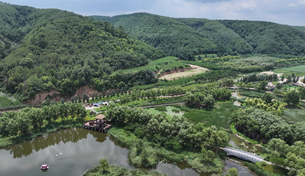 南泥湾国家湿地公园一隅（7月29日摄，无人机照片）。