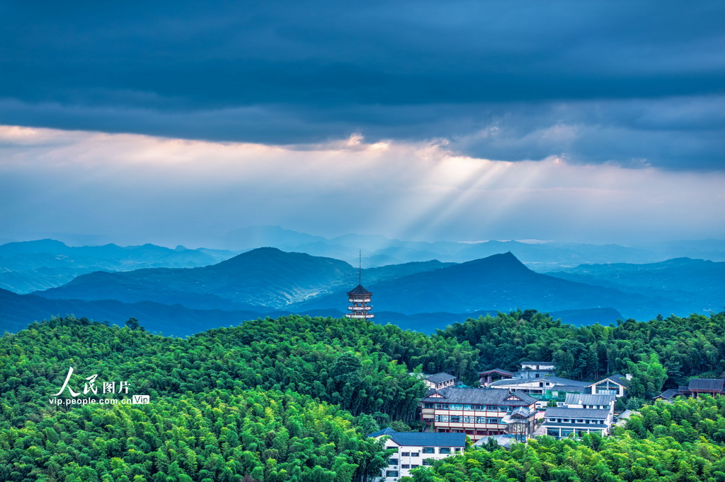 四川长宁：夏日竹海醉游人【2】