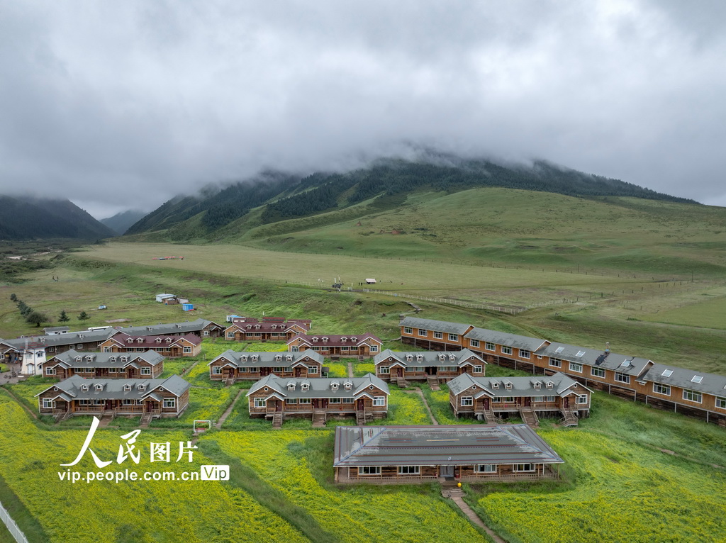 甘肃张掖:山丹烟雨驻 良马踏青闲【4】