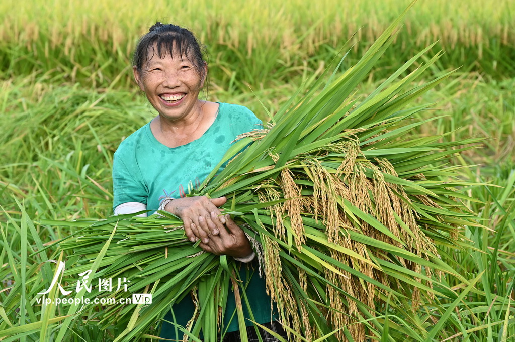 四川内江：立秋农事忙【4】