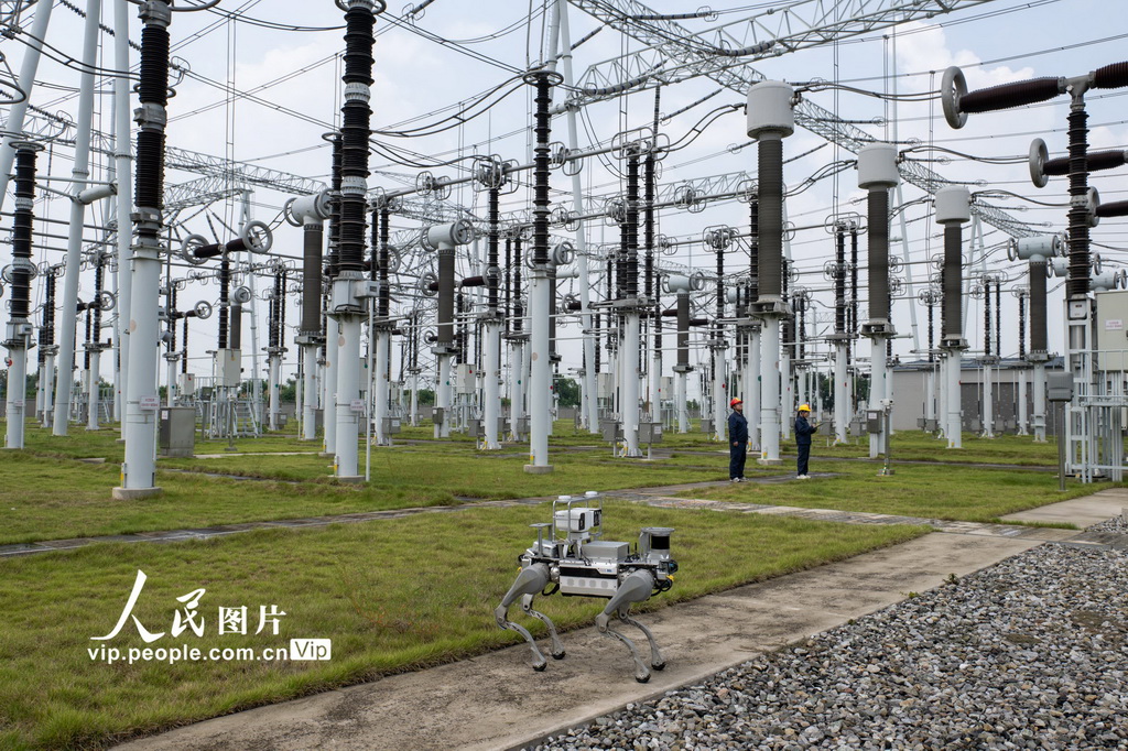 8月7日，四足机器人在湖北省宜昌市夷陵区500千伏安福变电站内对设备开展巡视检查。