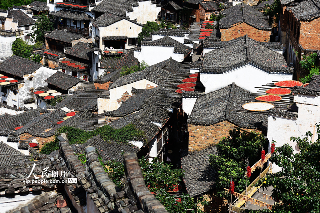 江西婺源：篁岭“晒秋”【2】