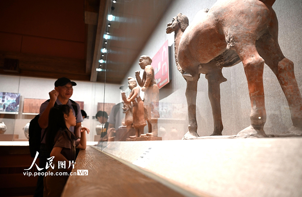 甘肃敦煌：走进大漠 乐享暑期【3】