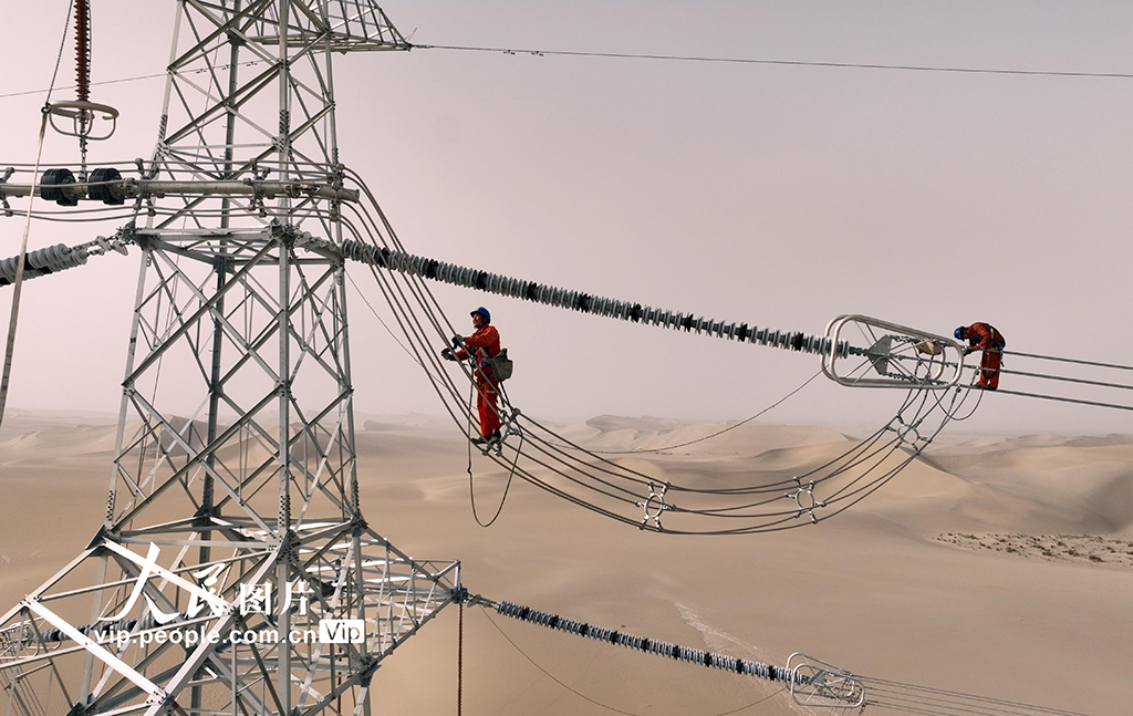 新疆且末：大漠“走线”【2】