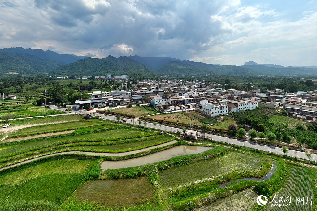 2025年6月14日，陕西省西安市长安区王莽街道清水头村风景如画。经过美丽乡村整治工程，清水头村实现了从环境洼地到生态高地的华丽转身。人民网记者 魏鑫摄
