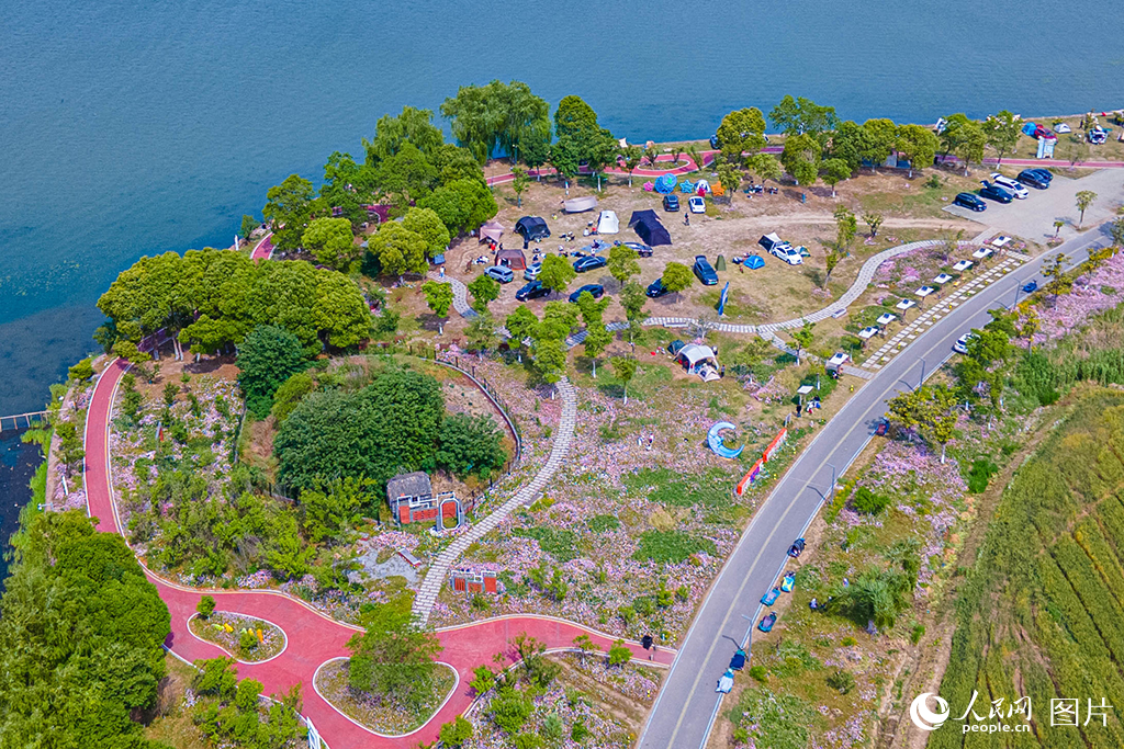 2025年5月4日，江苏省昆山市，游客在明镜荡国家水利风景区休闲游玩。明镜荡国家水利风景区位于江苏省昆山市锦溪镇，总面积32平方公里，其中水域面积10.78平方公里，是昆山市首个国家级水利风景区。景区经过疏浚治理、筑堤固河，形成了水体资源丰沛、河湖贯通、调蓄滞洪功能完备的水系，布设了“一心一廊五区”景观布局，将水利建设与打造美丽乡村相结合，融水利科普、休闲度假和园林景观为一体，打造出了人水和谐的水利样板景区。人民网记者 王初摄