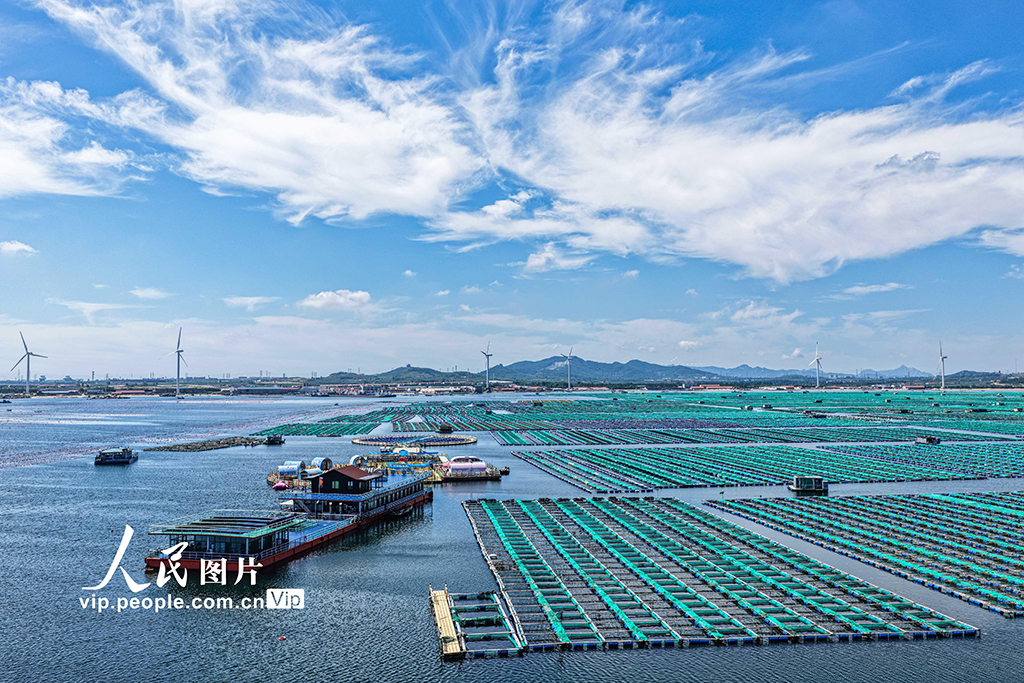 山东荣成:海洋牧场也能玩【2】