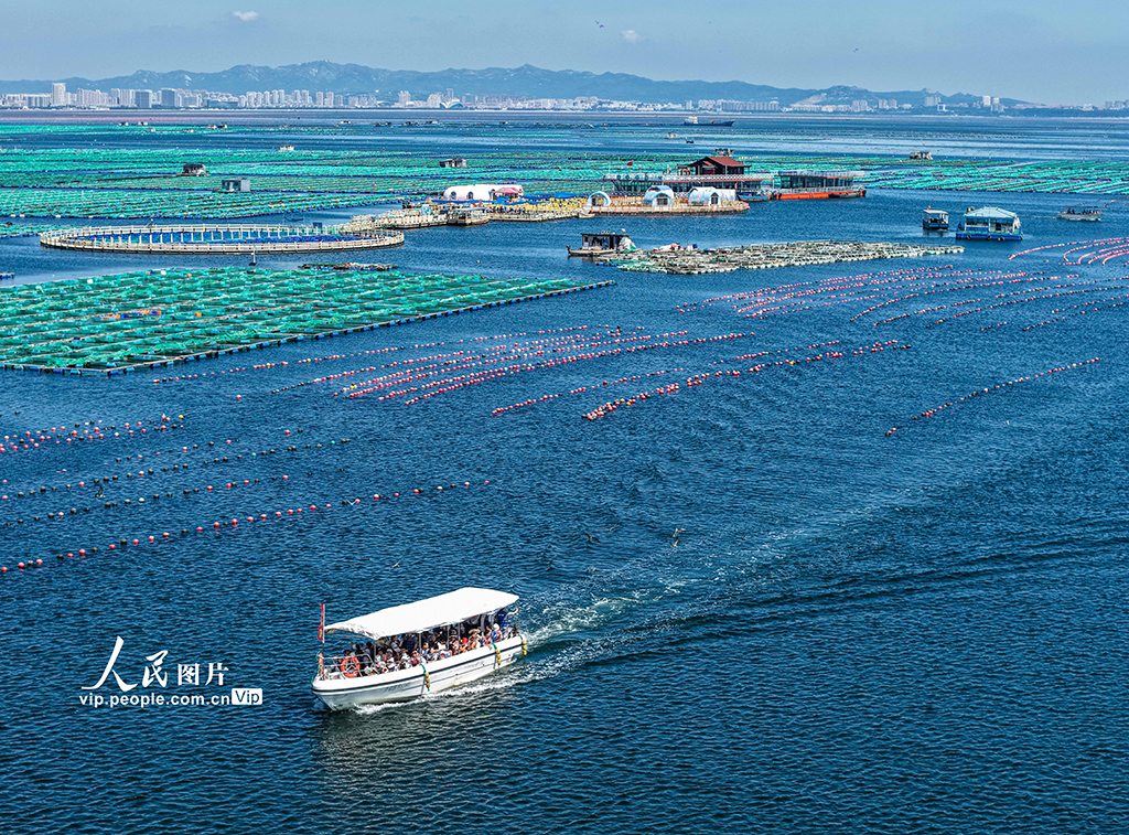 山东荣成：海洋牧场也能玩【3】