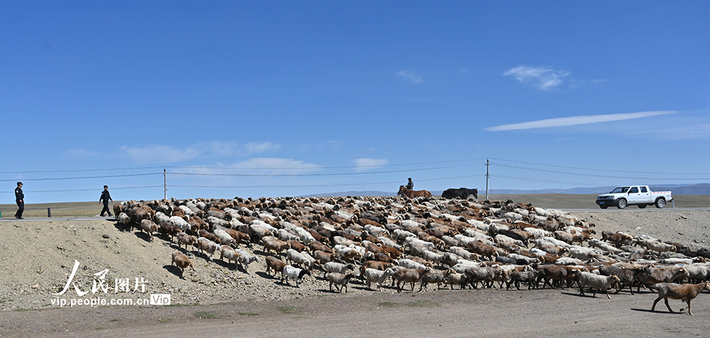 新疆和布克赛尔:暖心护航转场路【2】