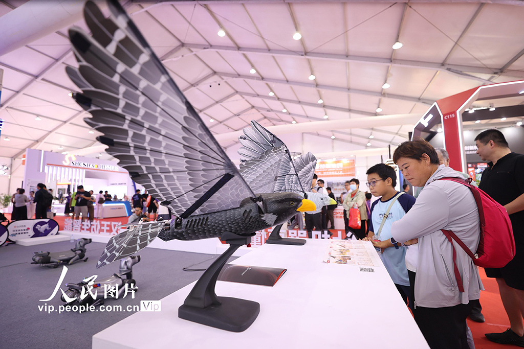 北京:世界机器人大会人气旺【5】