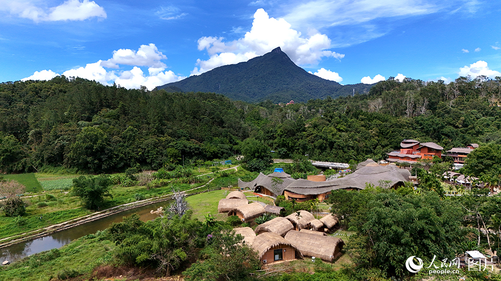 2025年6月26日，海南省五指山毛纳村以黎族文化和生态资源为主题，在不拆房、不砍树、不占田的前提下，大力发展乡村旅游业，积极探索“茶+旅+文”深度融合的发展模式。如今，常态化举办的黎苗文创展、茶艺展演、民俗长桌宴、篝火晚会等丰富多彩的文旅活动，成功实现游客从“一日游”向“过夜游”的转变，消费拉动效应显著增强。人民网记者 符武平摄