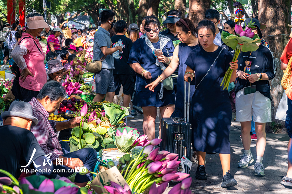 江苏苏州：荷花市集人气旺【5】