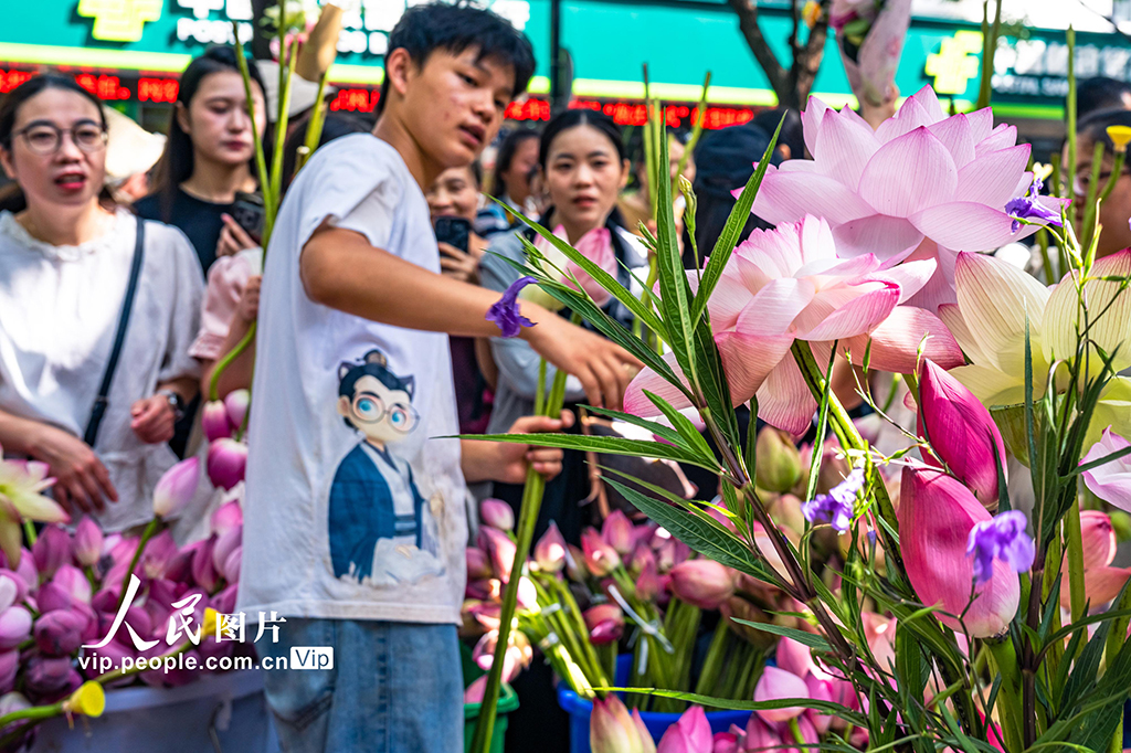 江苏苏州：荷花市集人气旺【4】