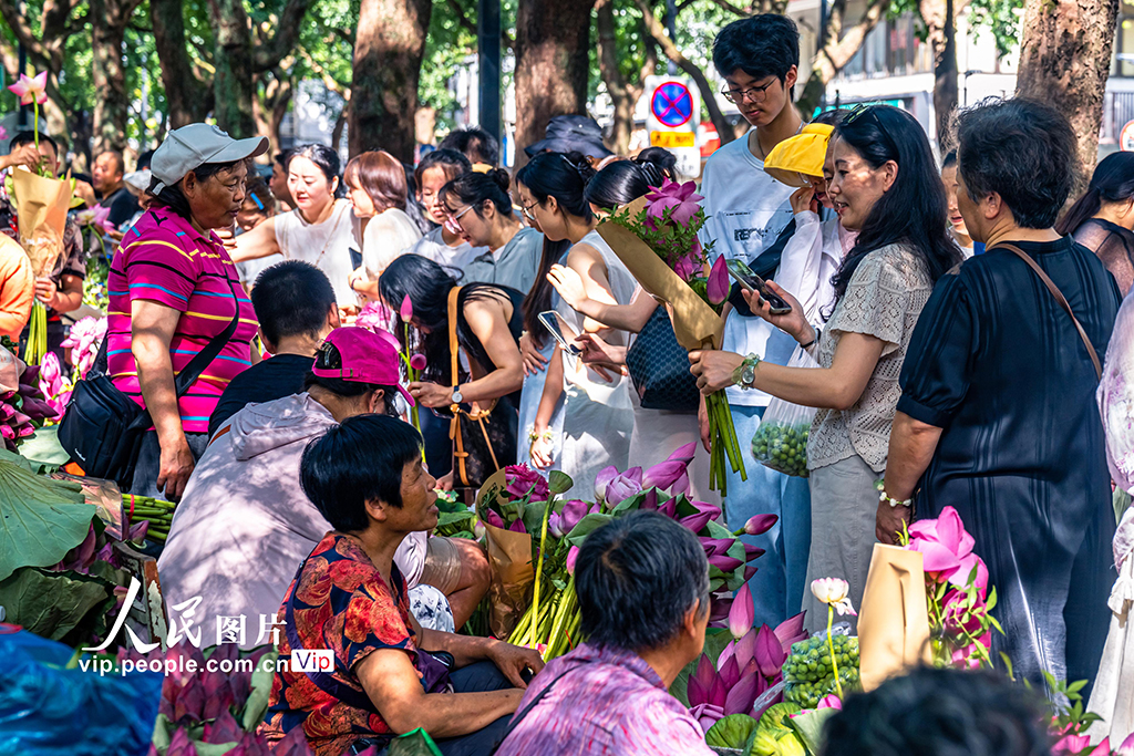 江苏苏州：荷花市集人气旺【7】