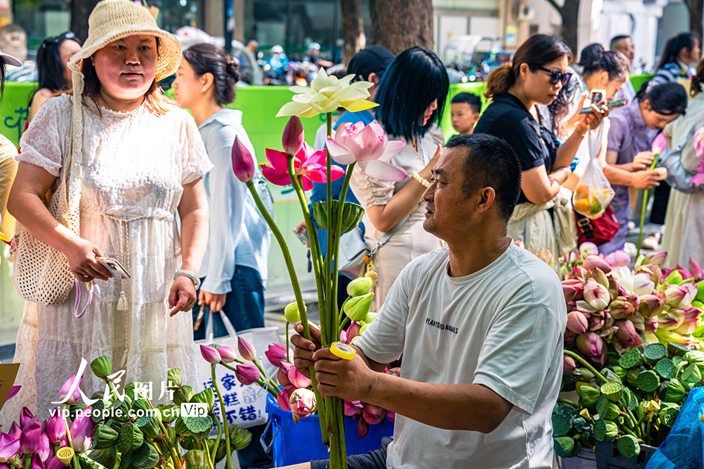 江苏苏州:荷花市集人气旺【2】