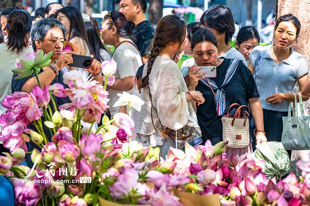 江苏苏州：荷花市集人气旺【8】