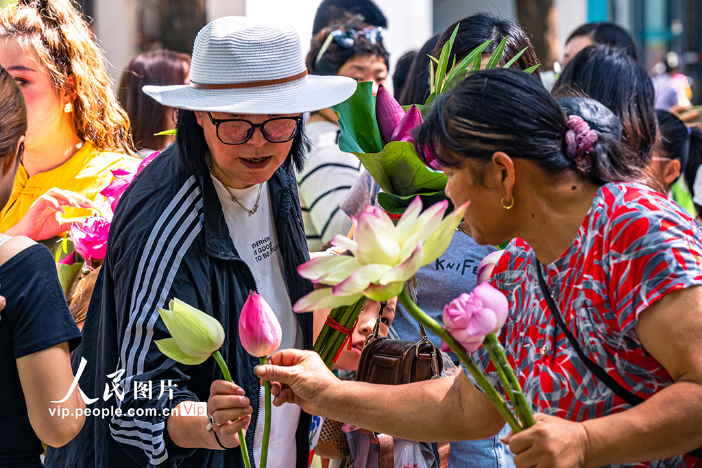 江苏苏州：荷花市集人气旺【3】